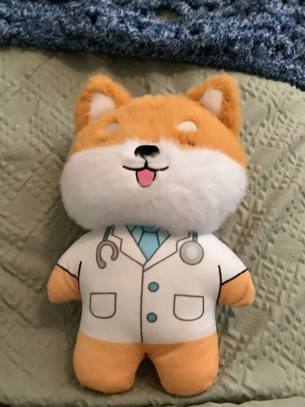 Cute Orange & White Plush Dog in Doctor Outfit